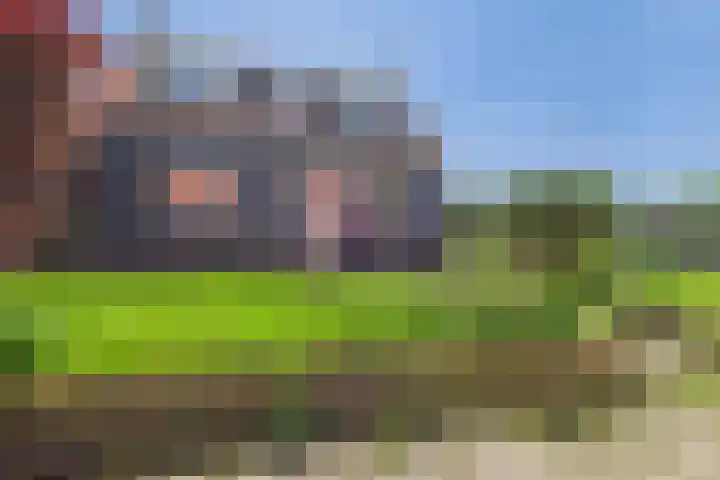 Plevierstraat 31 Hengstdijk thumbnail 4