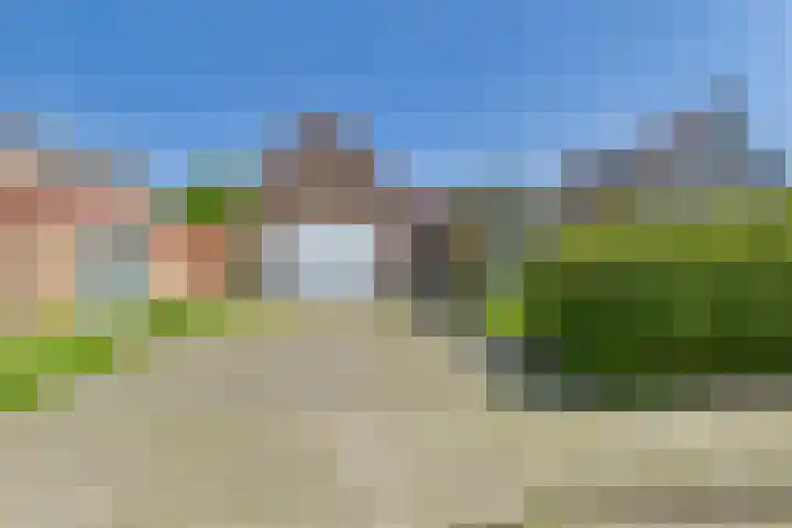 Plevierstraat 31 Hengstdijk thumbnail 5