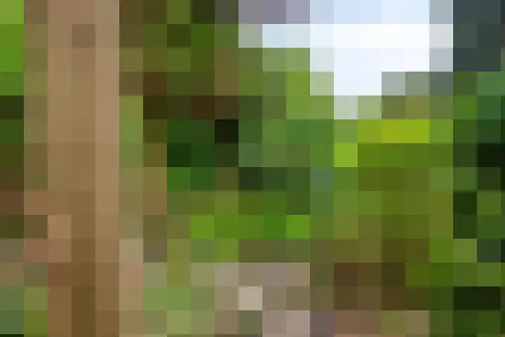 Plevierstraat 32 Schagen thumbnail 29