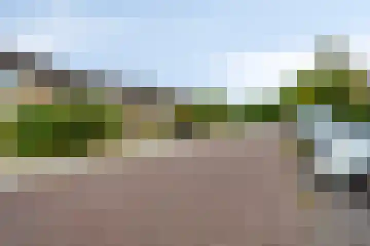 Plevierstraat 32 Schagen thumbnail 4
