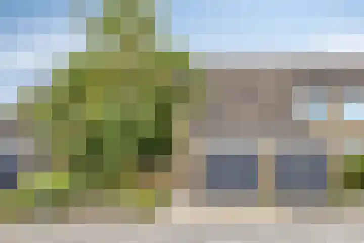 Plevierstraat 38 in Schagen