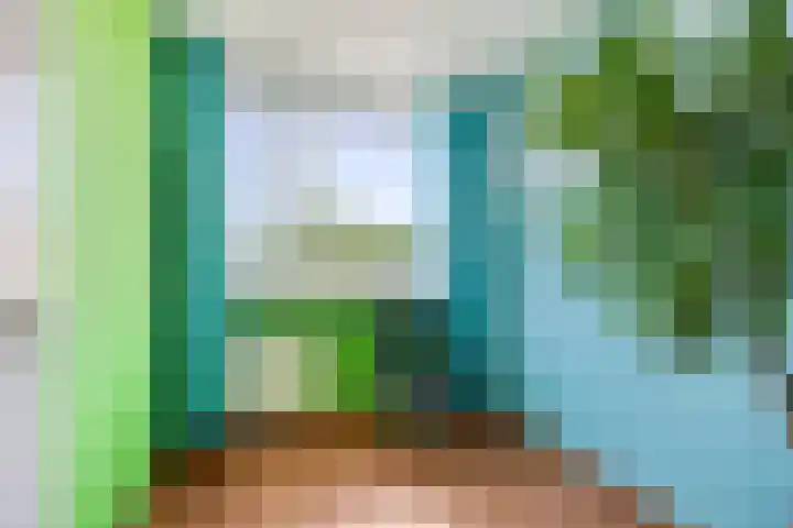 Plevierstraat 38 Strijen thumbnail 15