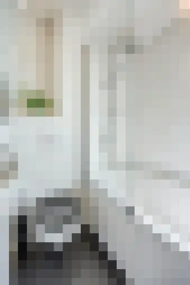 Plevierstraat 38 Strijen thumbnail 18