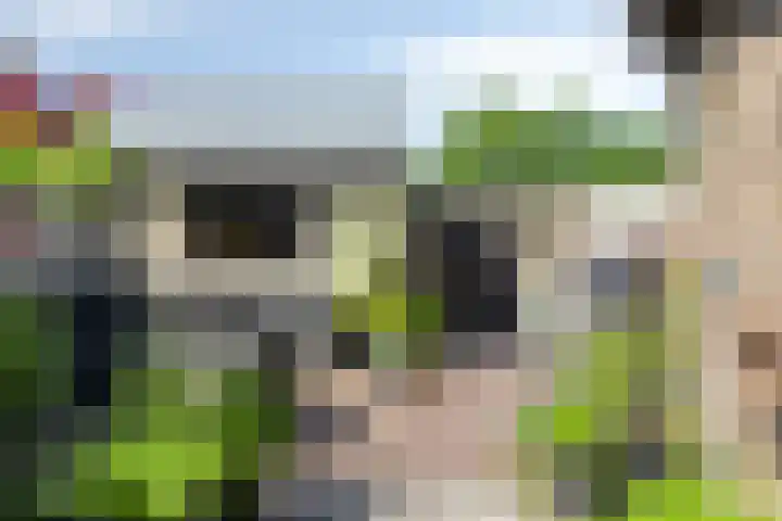Plevierstraat 38 Strijen thumbnail 27