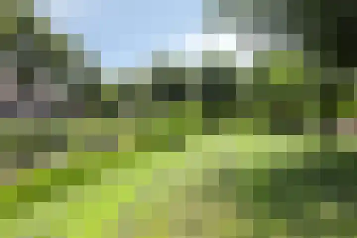 Plevierstraat 38 Strijen thumbnail 30
