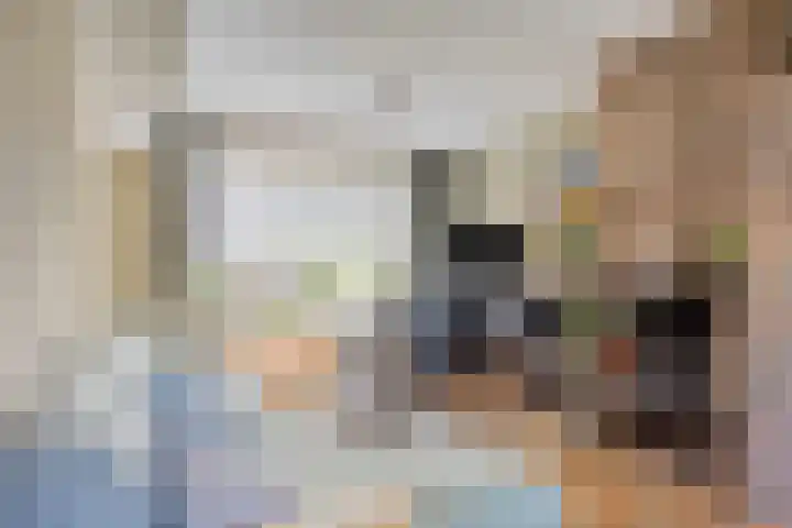 Plevierstraat 38 Strijen thumbnail 5