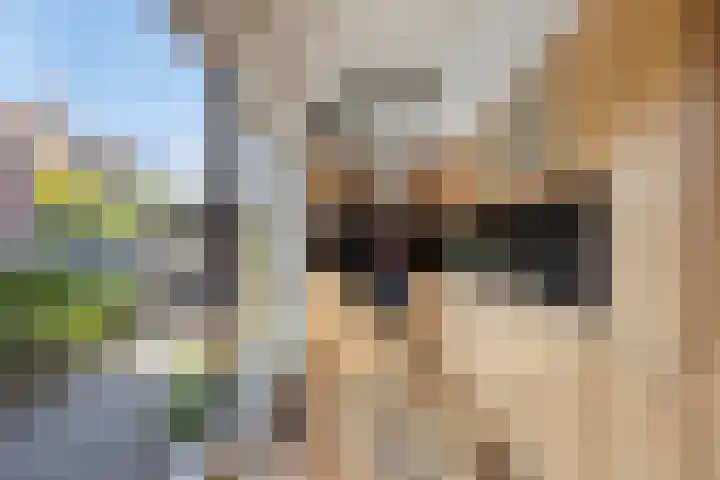 Plevierstraat 38 Strijen thumbnail 9