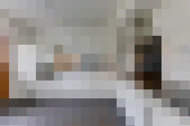 Plevierstraat 38 Velp thumbnail 12