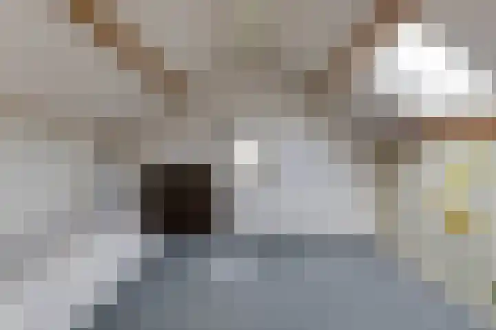 Plevierstraat 38 Velp thumbnail 19