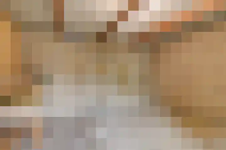 Plevierstraat 38 Velp thumbnail 25