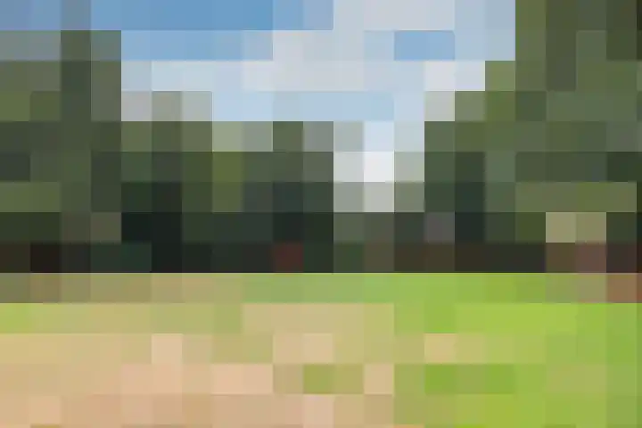 Plevierstraat 38 Velp thumbnail 26