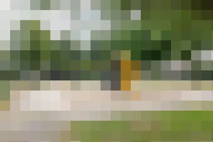 Plevierstraat 38 Velp thumbnail 29