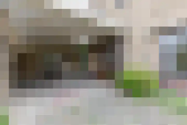 Plevierstraat 38 Velp thumbnail 5