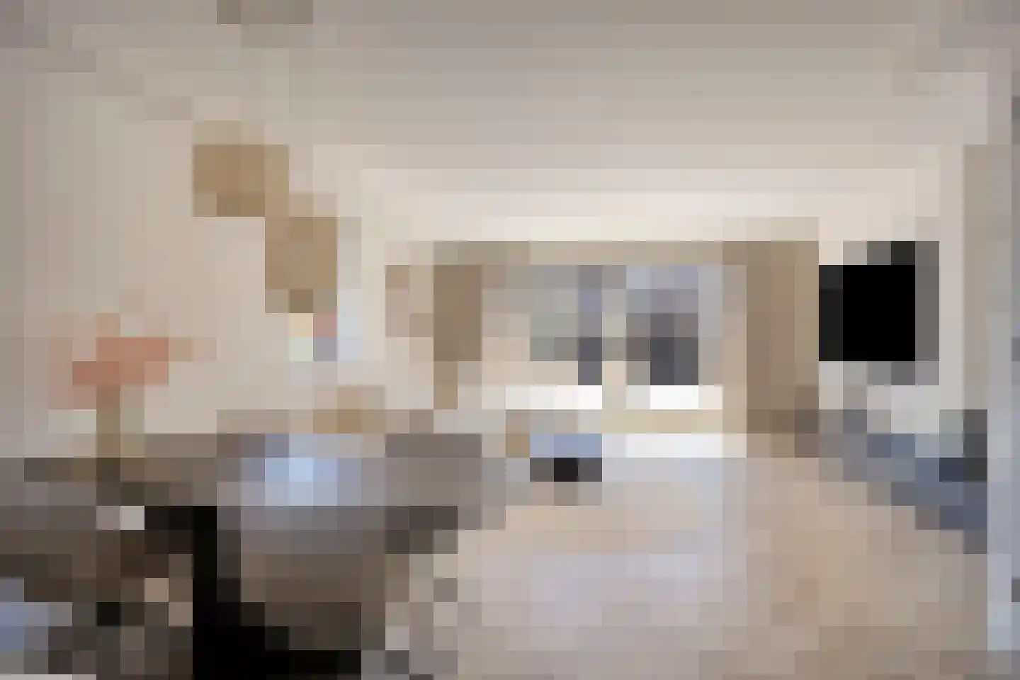 Plevierstraat 46 Oosthuizen thumbnail 13
