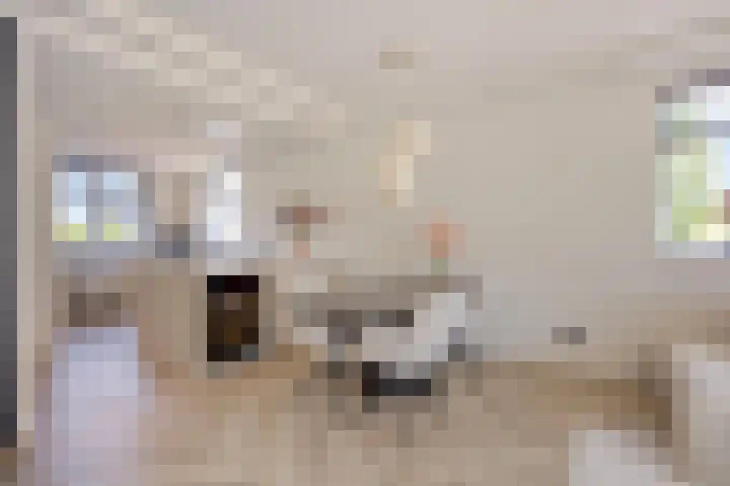 Plevierstraat 46 Oosthuizen thumbnail 14