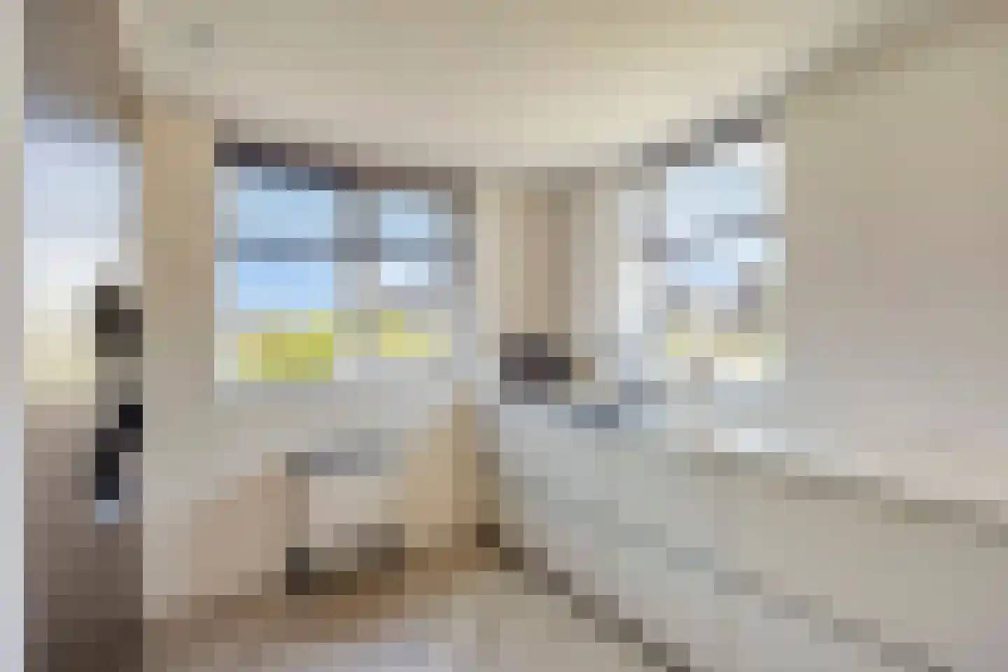 Plevierstraat 46 Oosthuizen thumbnail 17