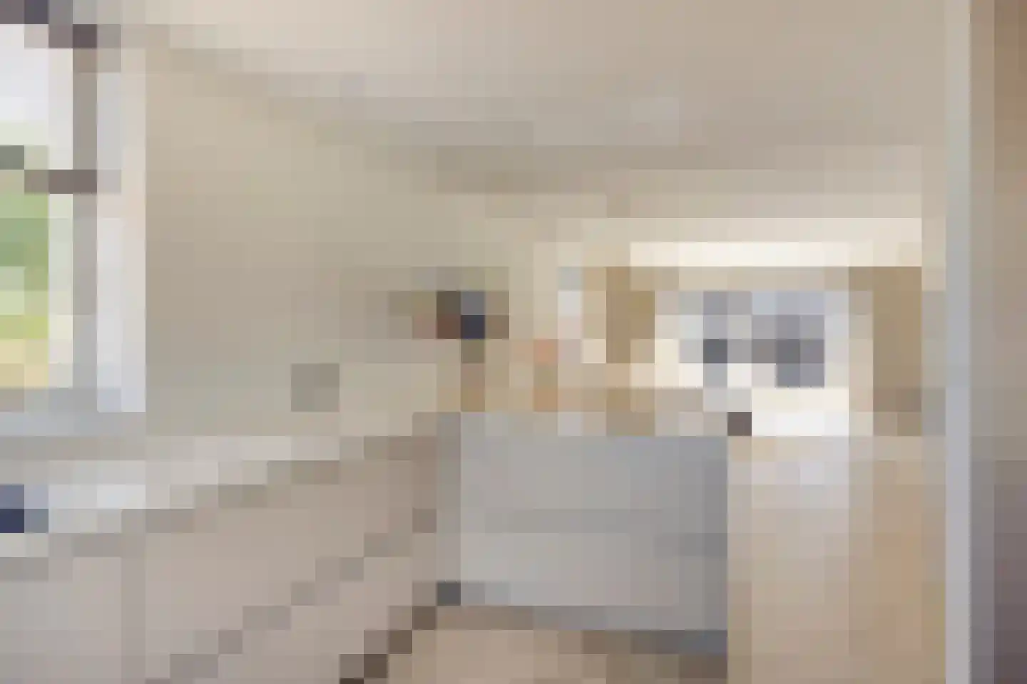 Plevierstraat 46 Oosthuizen thumbnail 18