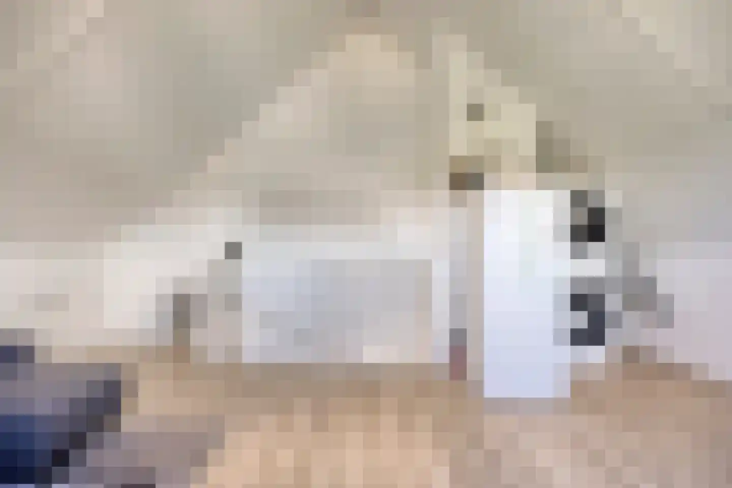 Plevierstraat 46 Oosthuizen thumbnail 36