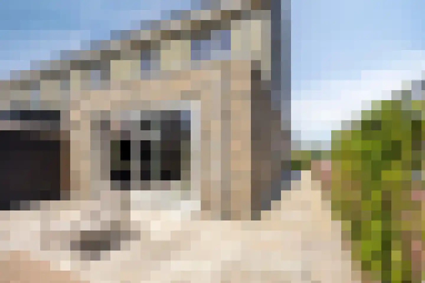 Plevierstraat 46 Oosthuizen thumbnail 42