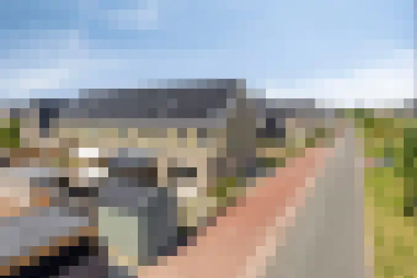 Plevierstraat 46 Oosthuizen thumbnail 43