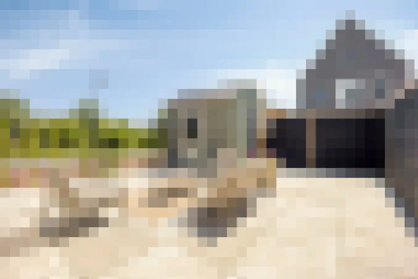 Plevierstraat 46 Oosthuizen thumbnail 5