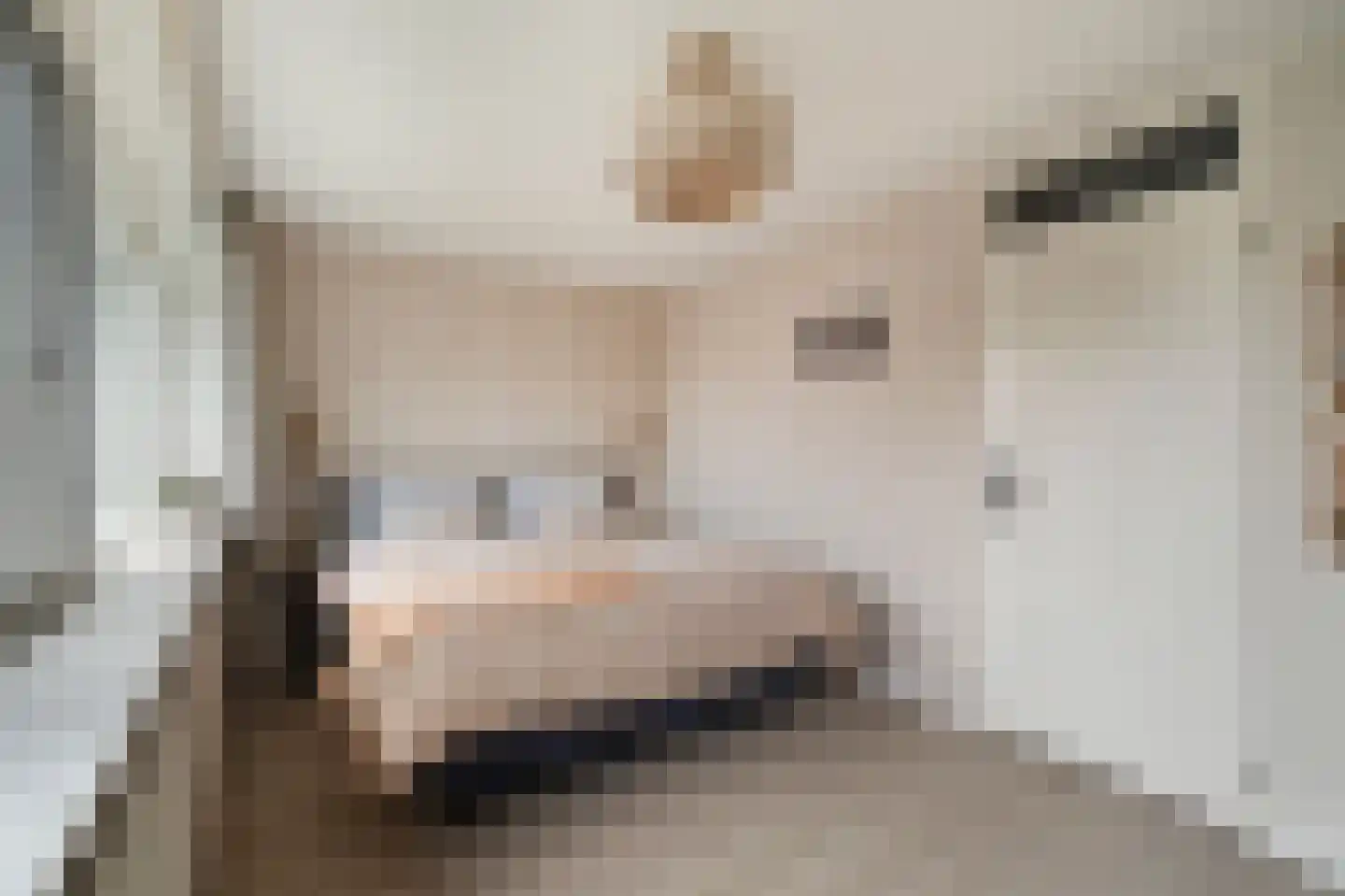 Plevierstraat 46 Schagen thumbnail 4