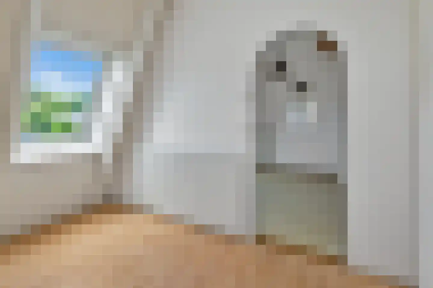 Plevierstraat 48 Schagen thumbnail 34