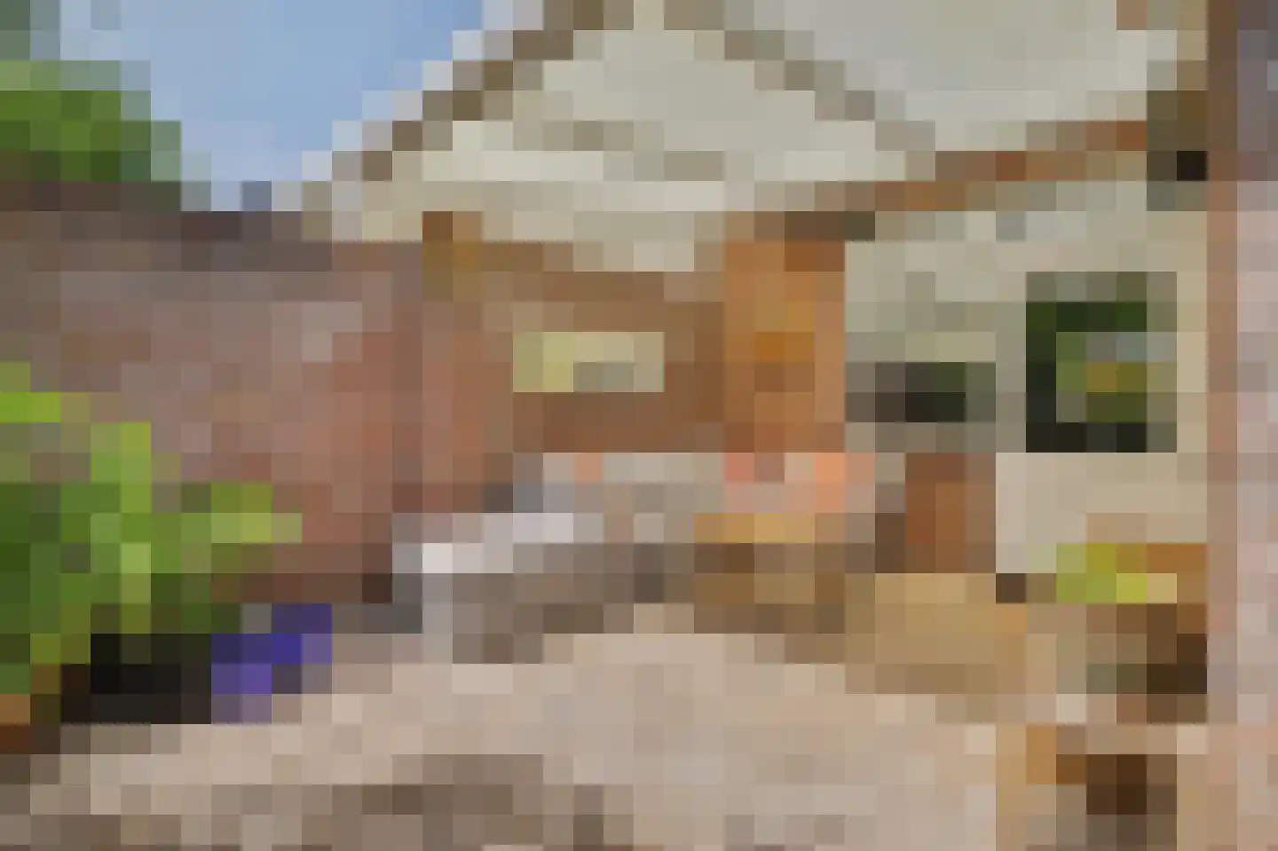 Plevierstraat 5 Velden thumbnail 20