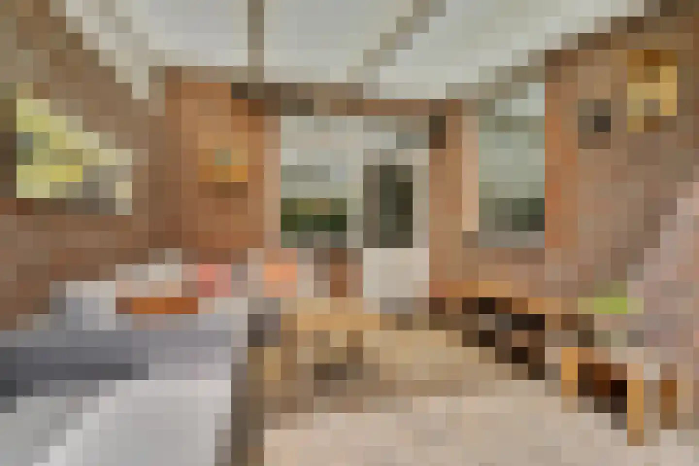 Plevierstraat 5 Velden thumbnail 21