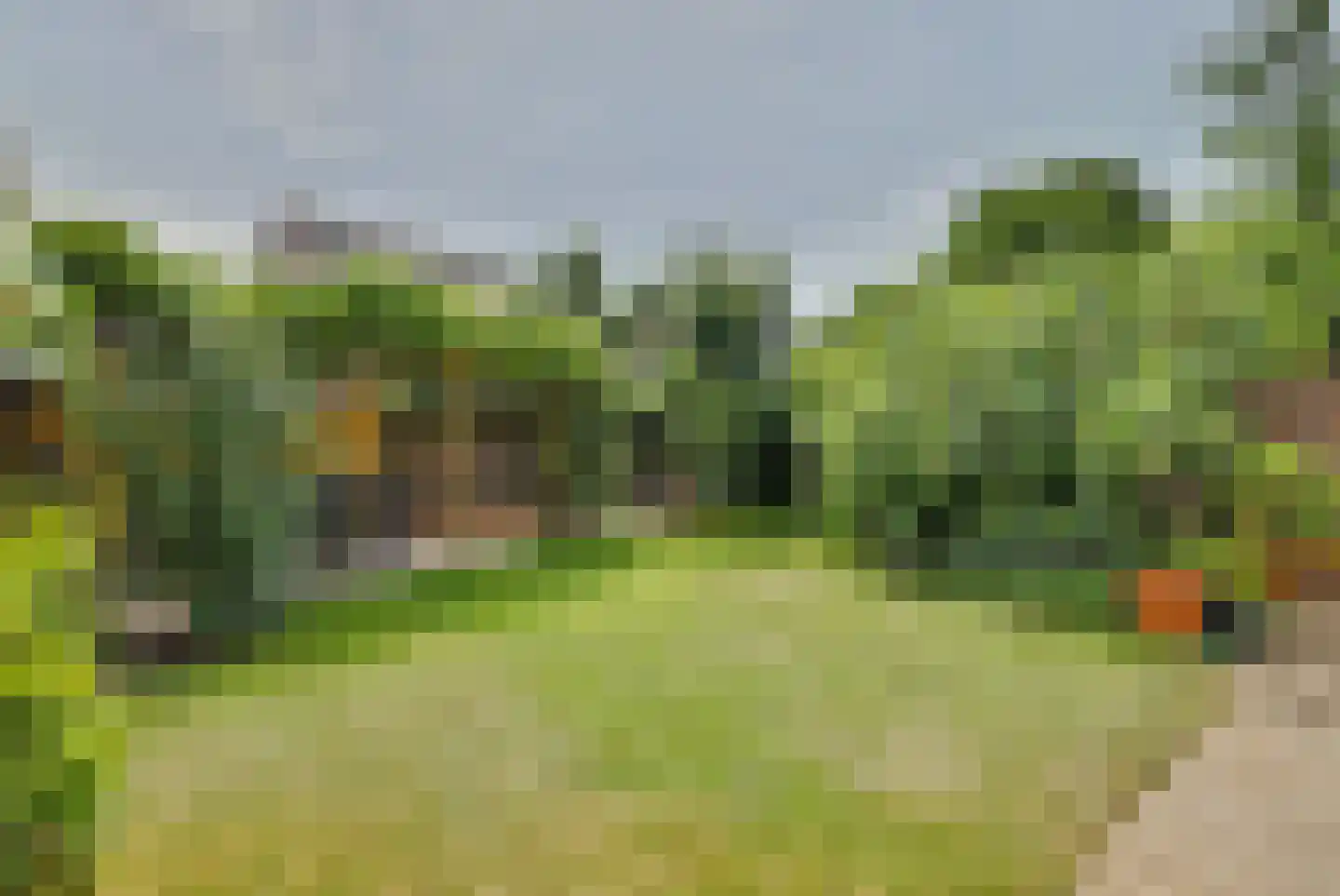 Plevierstraat 5 Velden thumbnail 23