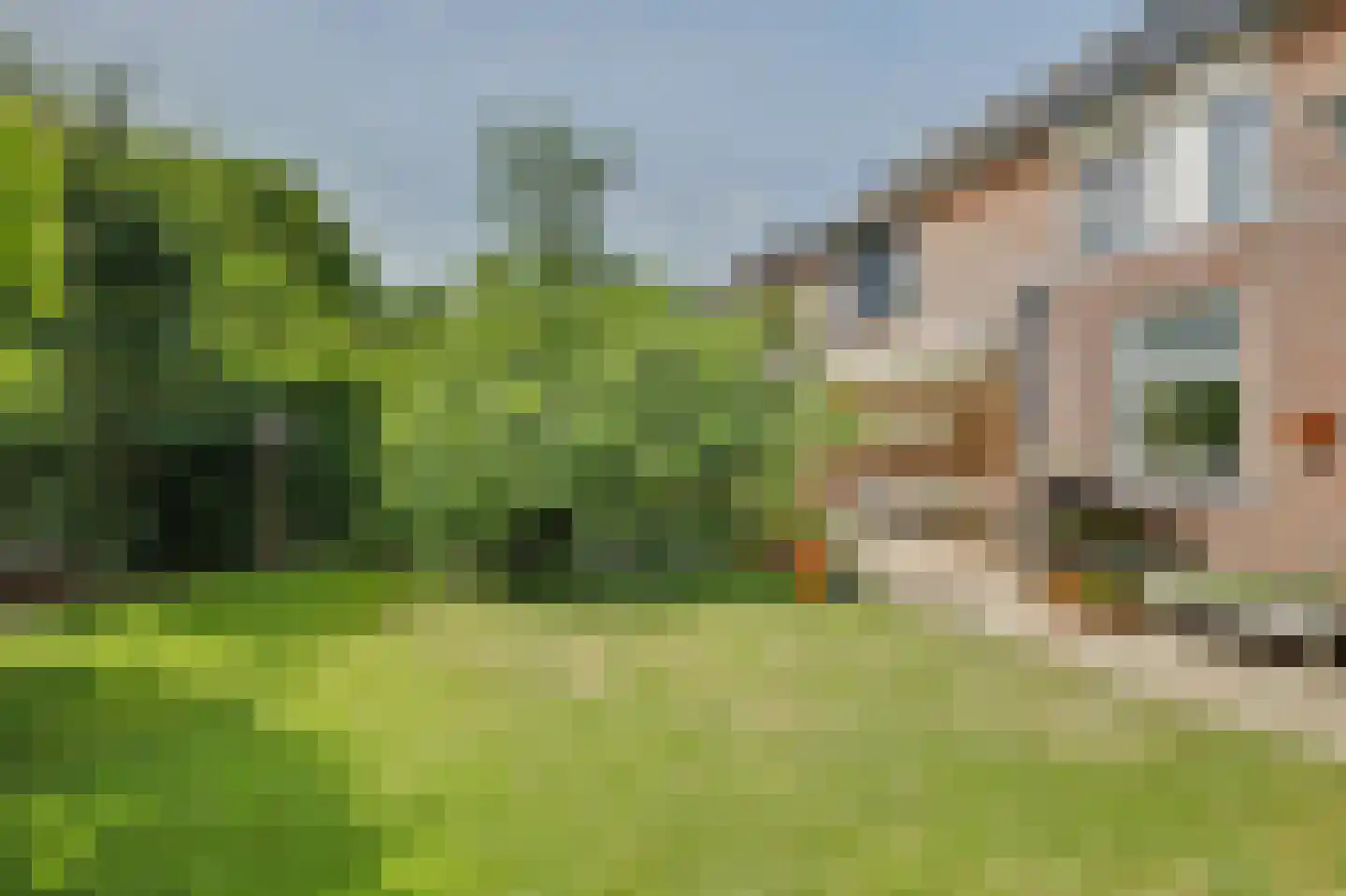 Plevierstraat 5 Velden thumbnail 25