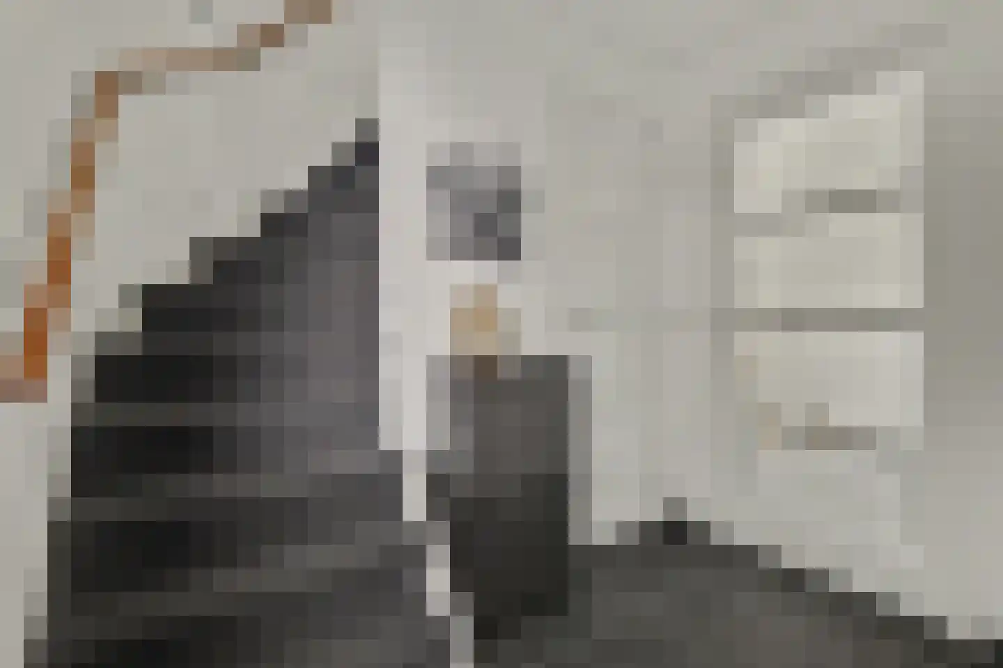 Plevierstraat 5 Velden thumbnail 9