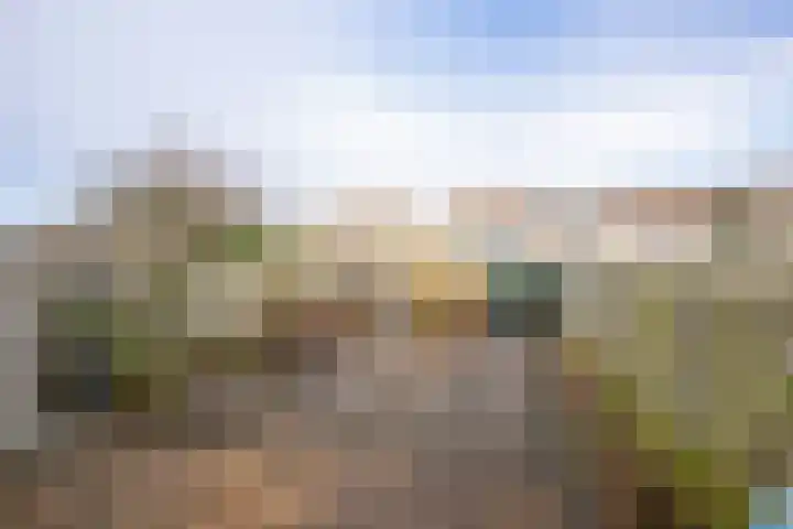 Plevierstraat 8 Anna Paulowna thumbnail 25