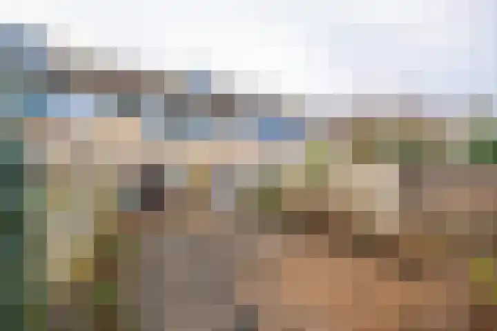 Plevierstraat 8 Anna Paulowna thumbnail 27