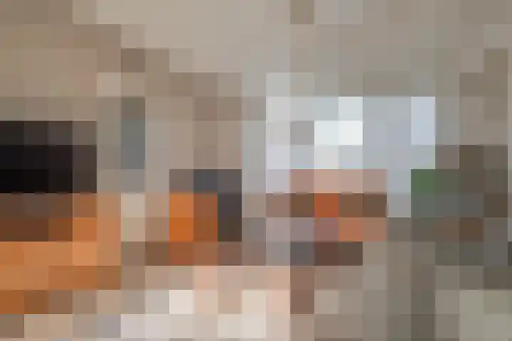 Plevierstraat 8 Bleiswijk thumbnail 13
