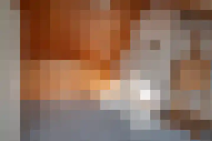 Plevierstraat 8 Bleiswijk thumbnail 36