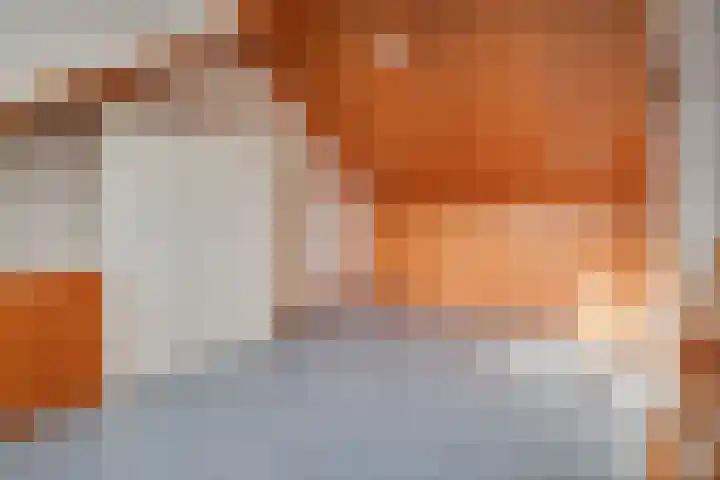 Plevierstraat 8 Bleiswijk thumbnail 37