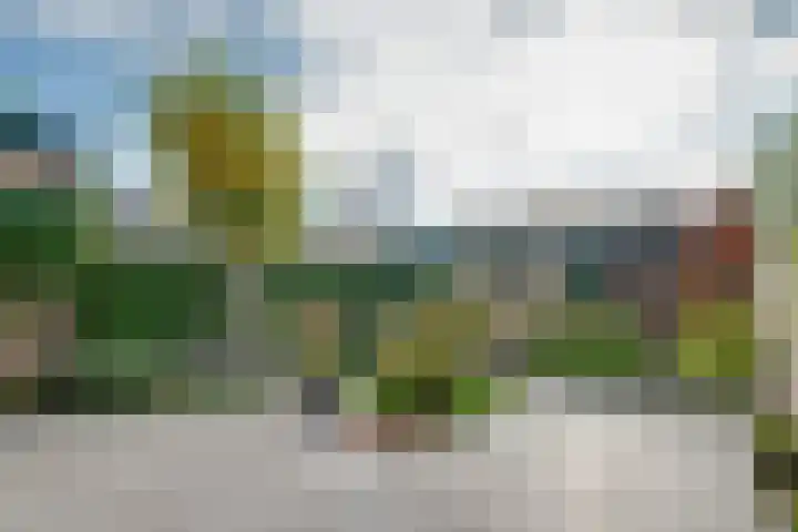 Plevierstraat 8 Bleiswijk thumbnail 41