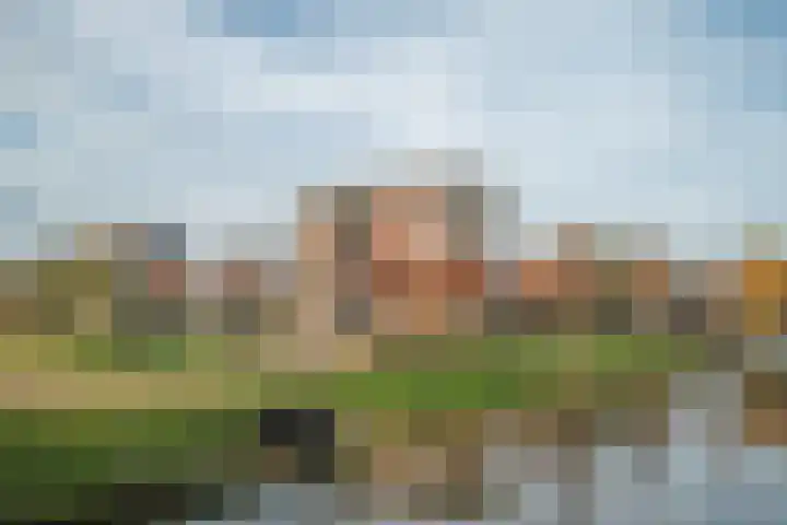 Plevierstraat 8 Bleiswijk thumbnail 47