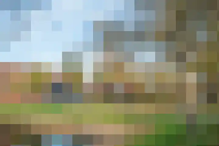 Plevierstraat 8 Bleiswijk thumbnail 48