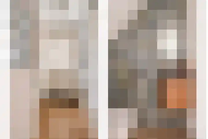 Plevierstraat 8 Mariahout foto 3