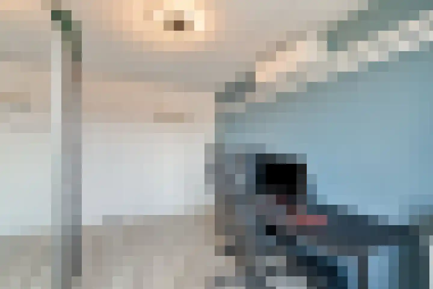 Plevierstraat 9 Anna Paulowna thumbnail 20