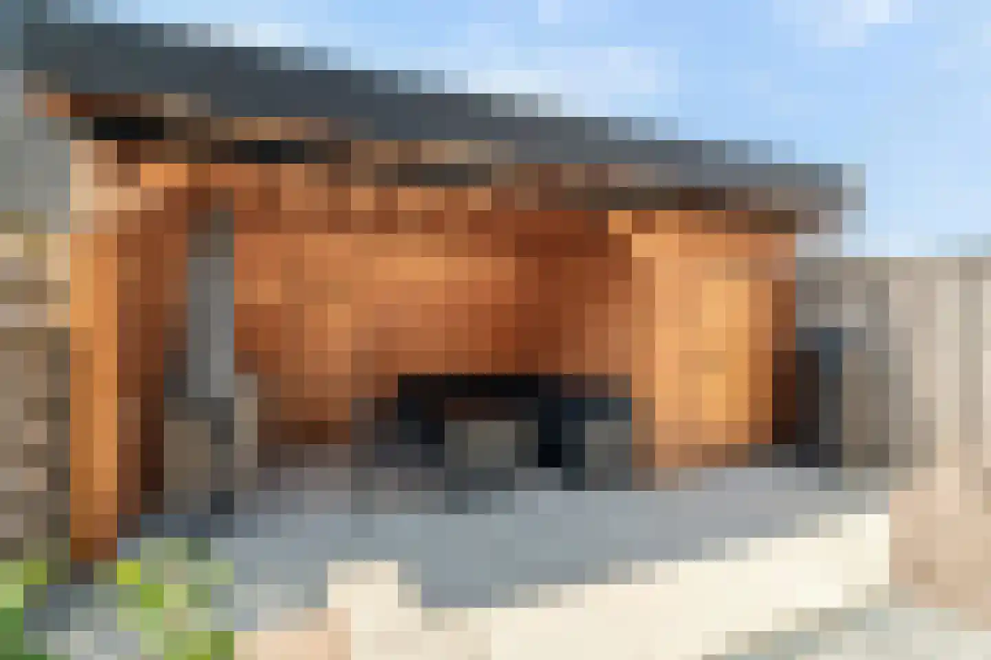 Plevierstraat 9 Anna Paulowna thumbnail 34