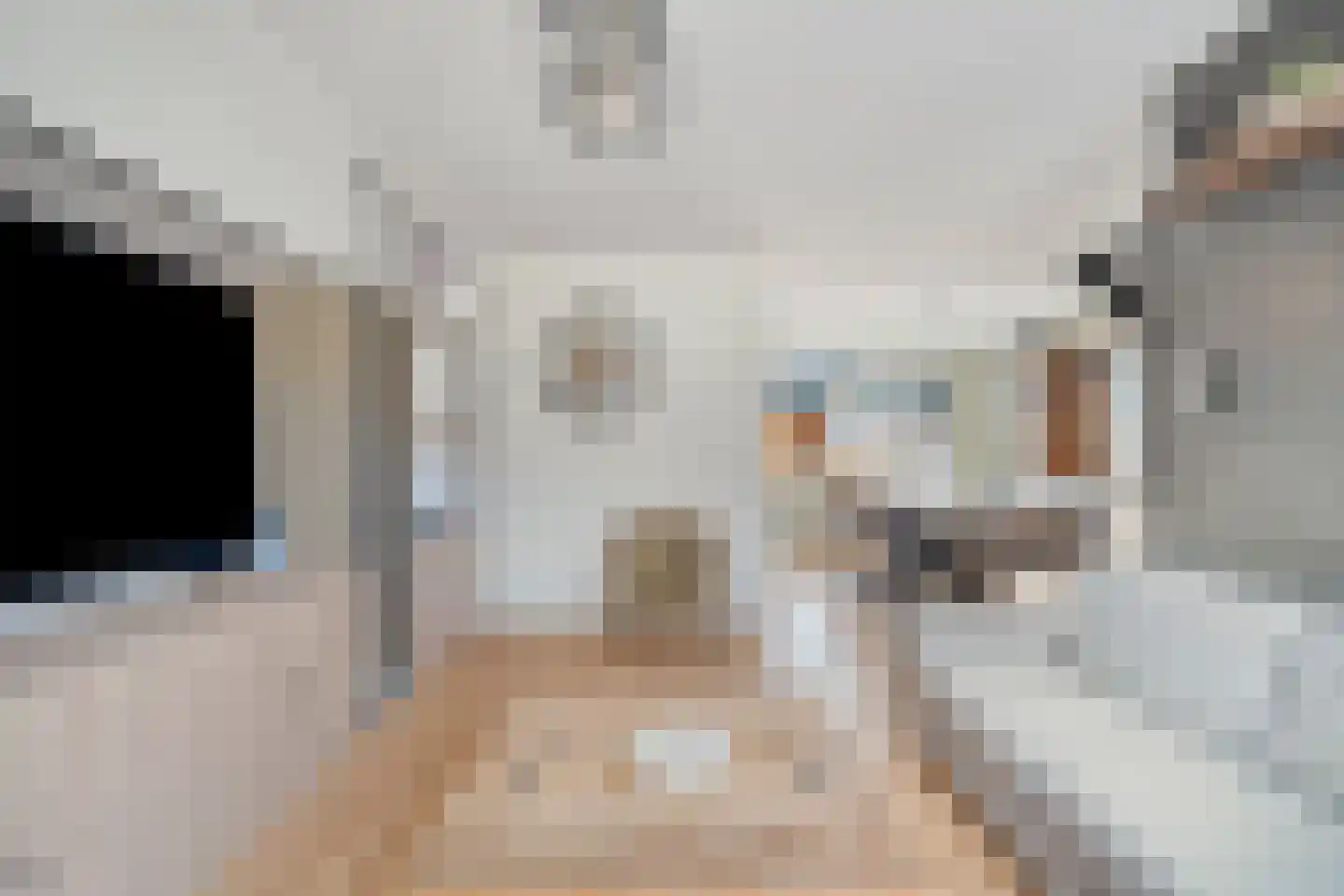 Plevierstraat 9 Anna Paulowna thumbnail 4