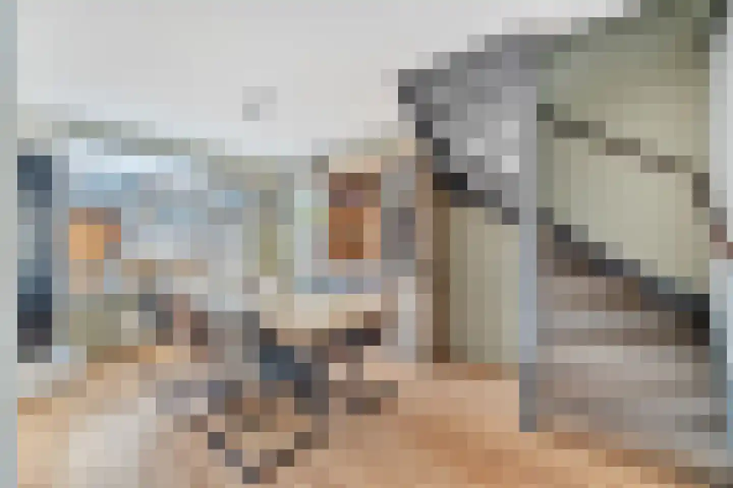 Plevierstraat 9 Anna Paulowna thumbnail 6