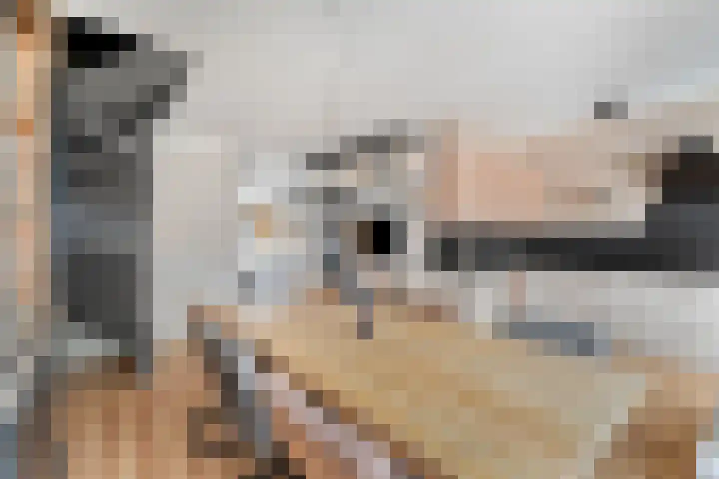 Plevierstraat 9 Anna Paulowna thumbnail 8