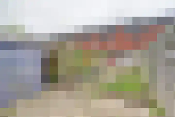 Plevierweide 6 Houten thumbnail 33