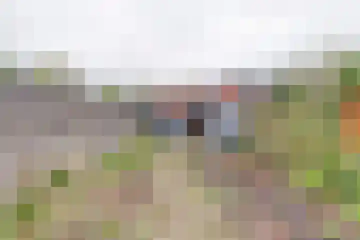 Plevierweide 6 Houten thumbnail 34