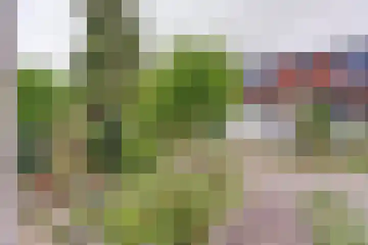 Plevierweide 6 Houten thumbnail 6