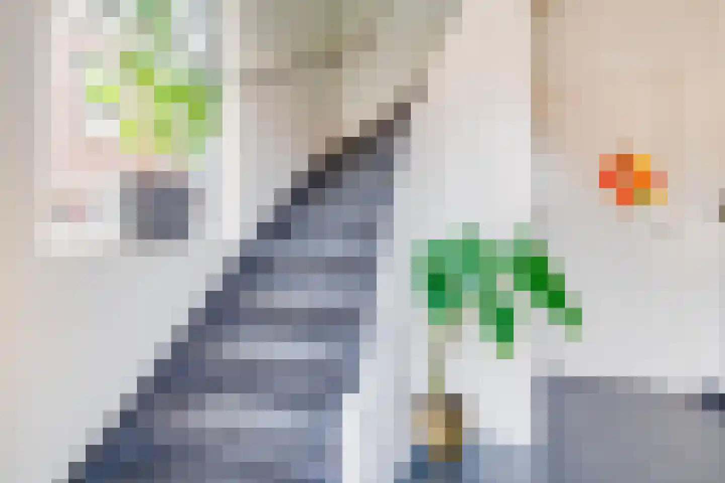 Plevitsstraat 5 Sint Joost thumbnail 12
